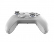 Direwolf 3 HE Wireless Controller - Grau (DEMO)
