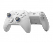 Direwolf 3 HE Wireless Controller - Grau (DEMO)