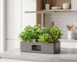 Hydrokultursystem mit LED – Indoor-Garten für 12 Pflanzen (DEMO)