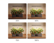 Hydrokultursystem mit LED – Indoor-Garten für 12 Pflanzen (DEMO)