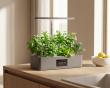 Hydrokultursystem mit LED – Indoor-Garten für 12 Pflanzen (DEMO)