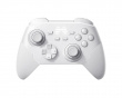 KP20D Drahtloser Hall Effect Controller - Weiß (DEMO)