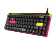 ROG Falchion Ace HFX ZywOo Edition Gaming‑Tastatur [ROG HFX Magnetic] (DEMO)