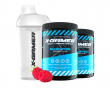 2 x 600g X-Tubz Bluenitro - 60 Tagesportionen + Shaker